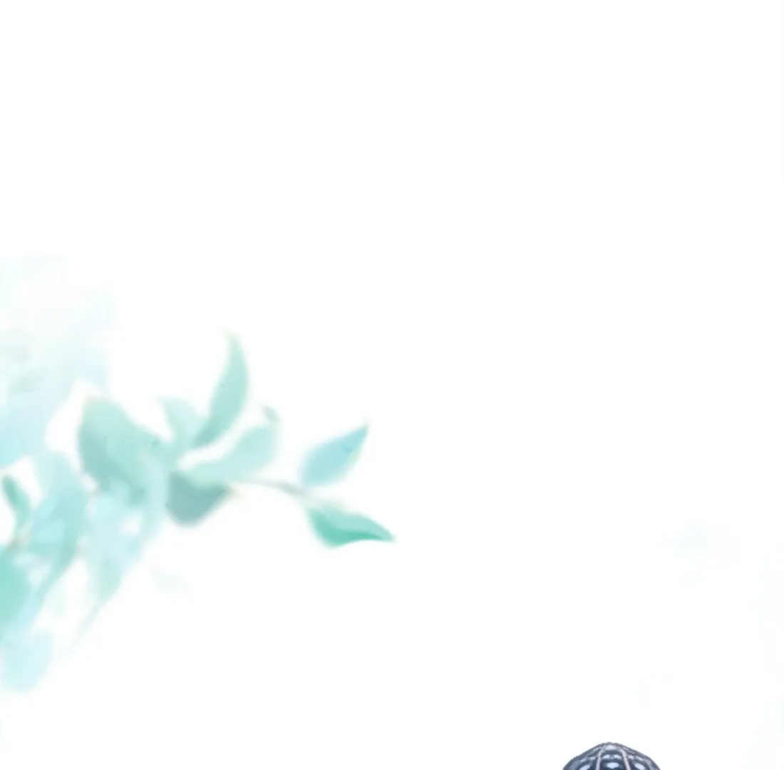The Forsaken Swan Lake Chapter 2 page 2 - 