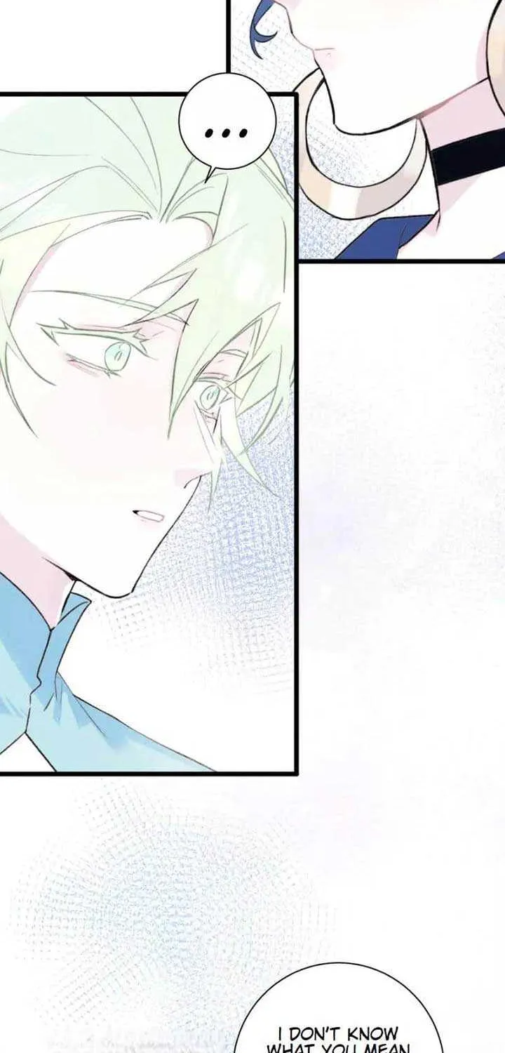 The Forsaken Swan Lake Chapter 27 page 17 - 