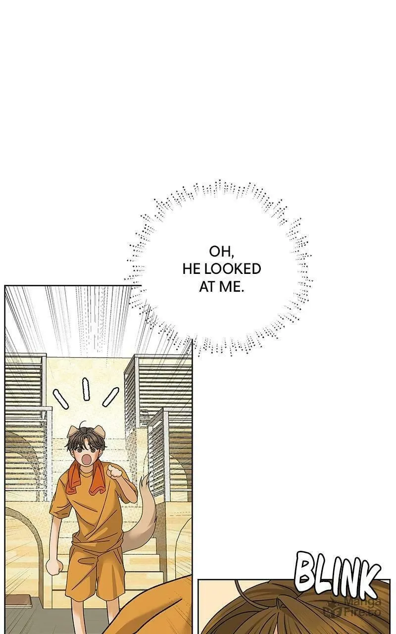 Read The Fox Club chapter 47 image 19 on Lezhin