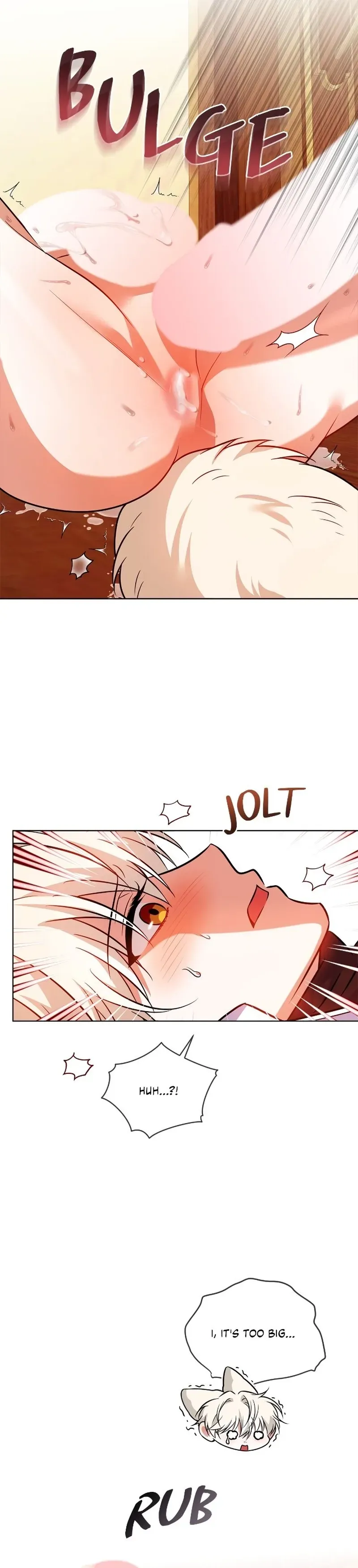 The Fox's Love Refresher Chapter 35 page 17 - 