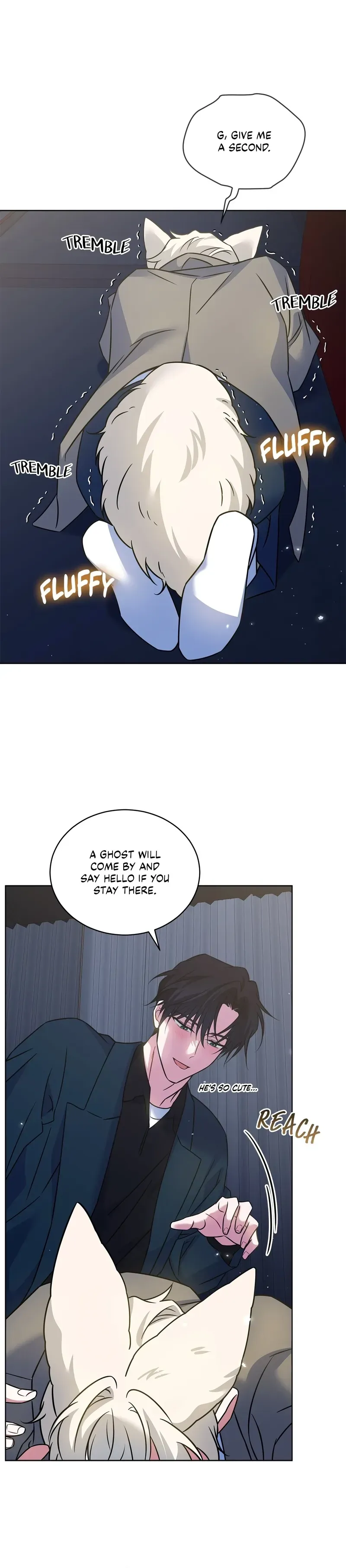 The Fox's Love Refresher Chapter 40 page 19 - 