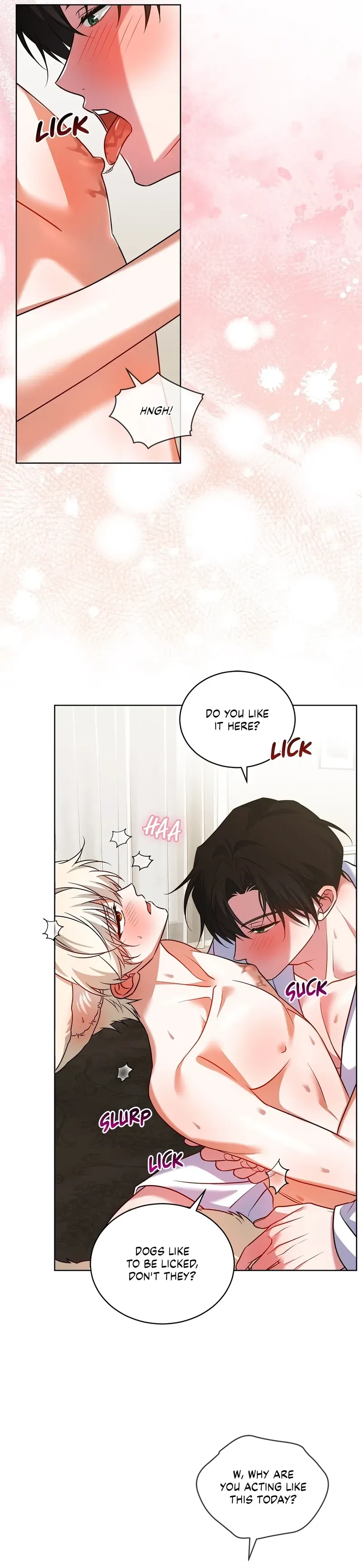 The Fox's Love Refresher Chapter 43 page 23 - 