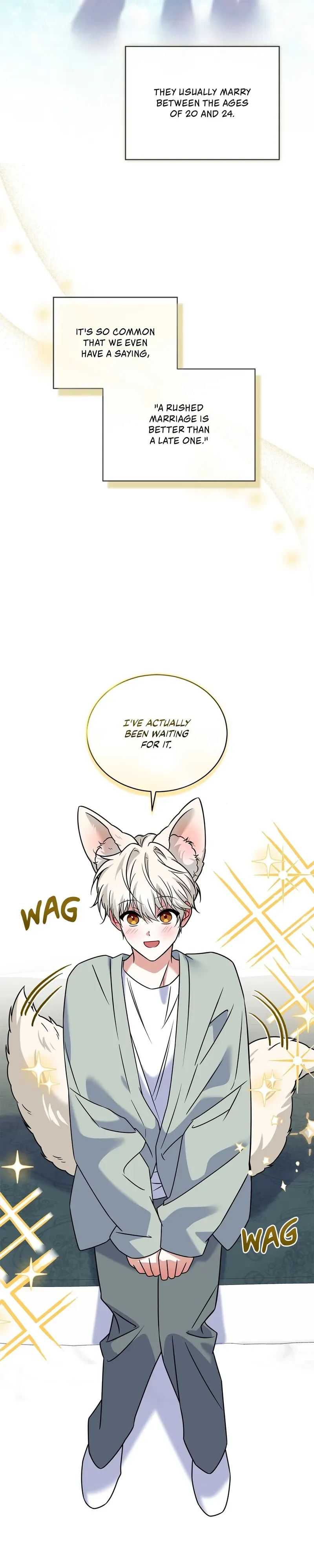 The Fox's Love Refresher Chapter 47 page 12 - 