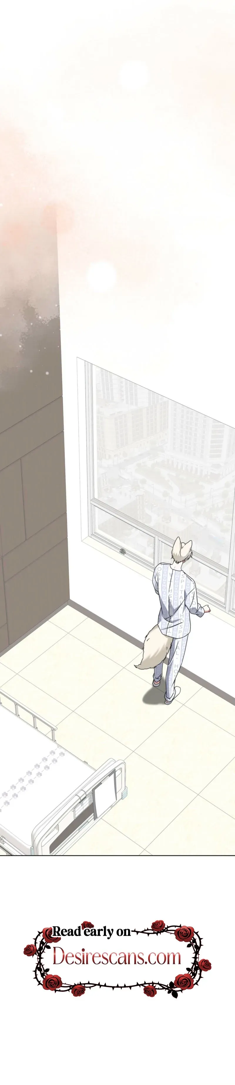 The Fox's Love Refresher Chapter 65 page 16 - 