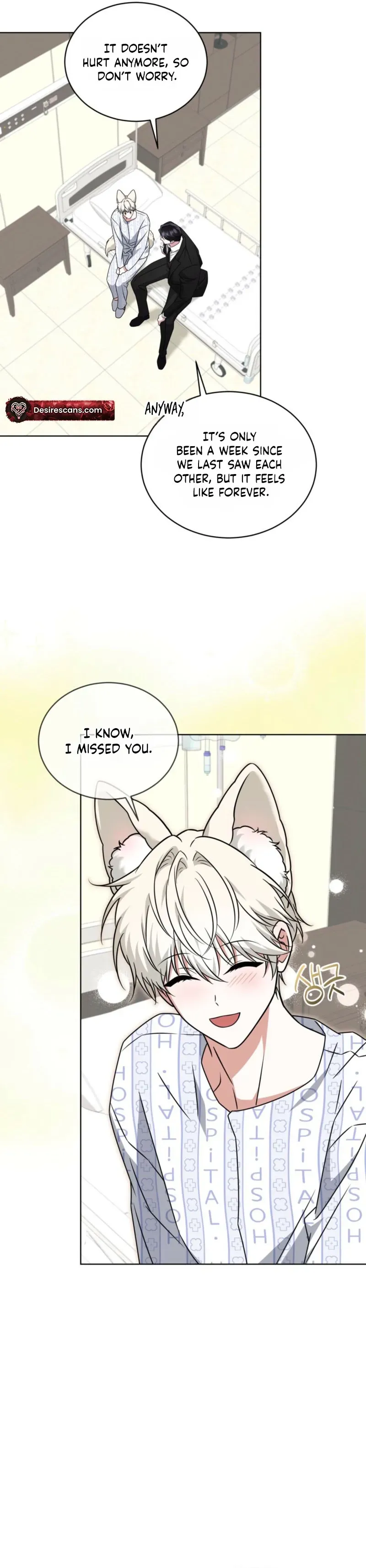 The Fox's Love Refresher Chapter 65 page 21 - 