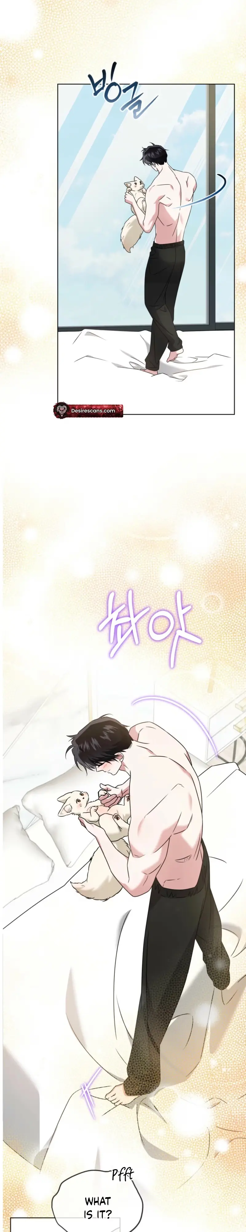 The Fox's Love Refresher Chapter 70 page 13 - 