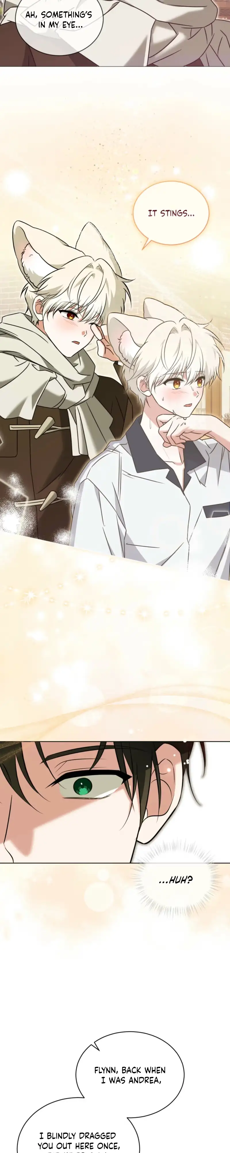 The Fox's Love Refresher Chapter 71 page 15 - 