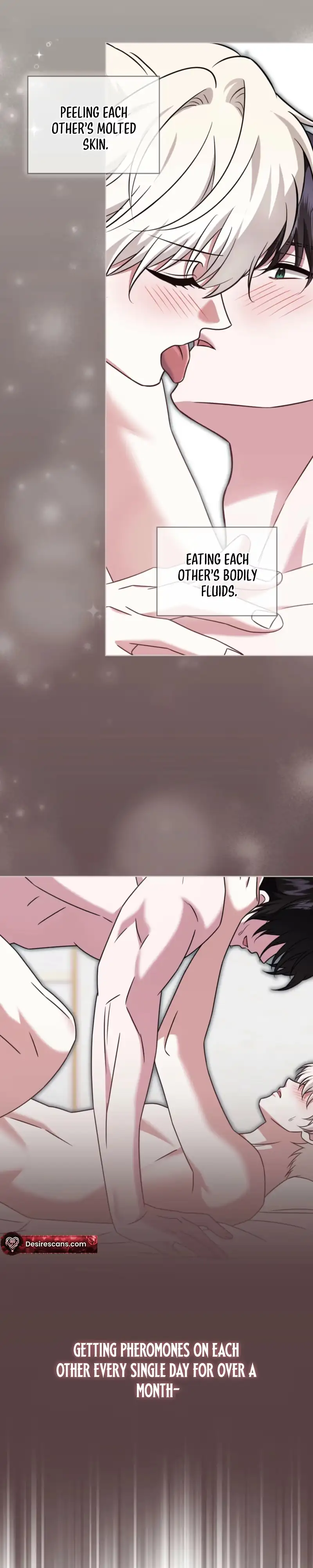 The Fox's Love Refresher Chapter 72 page 15 - 