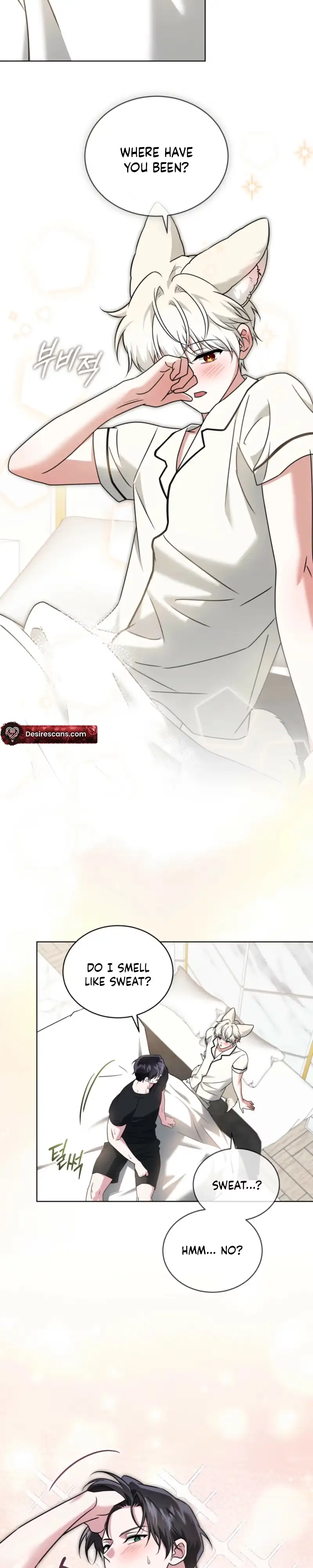 The Fox's Love Refresher Chapter 72 page 22 - 