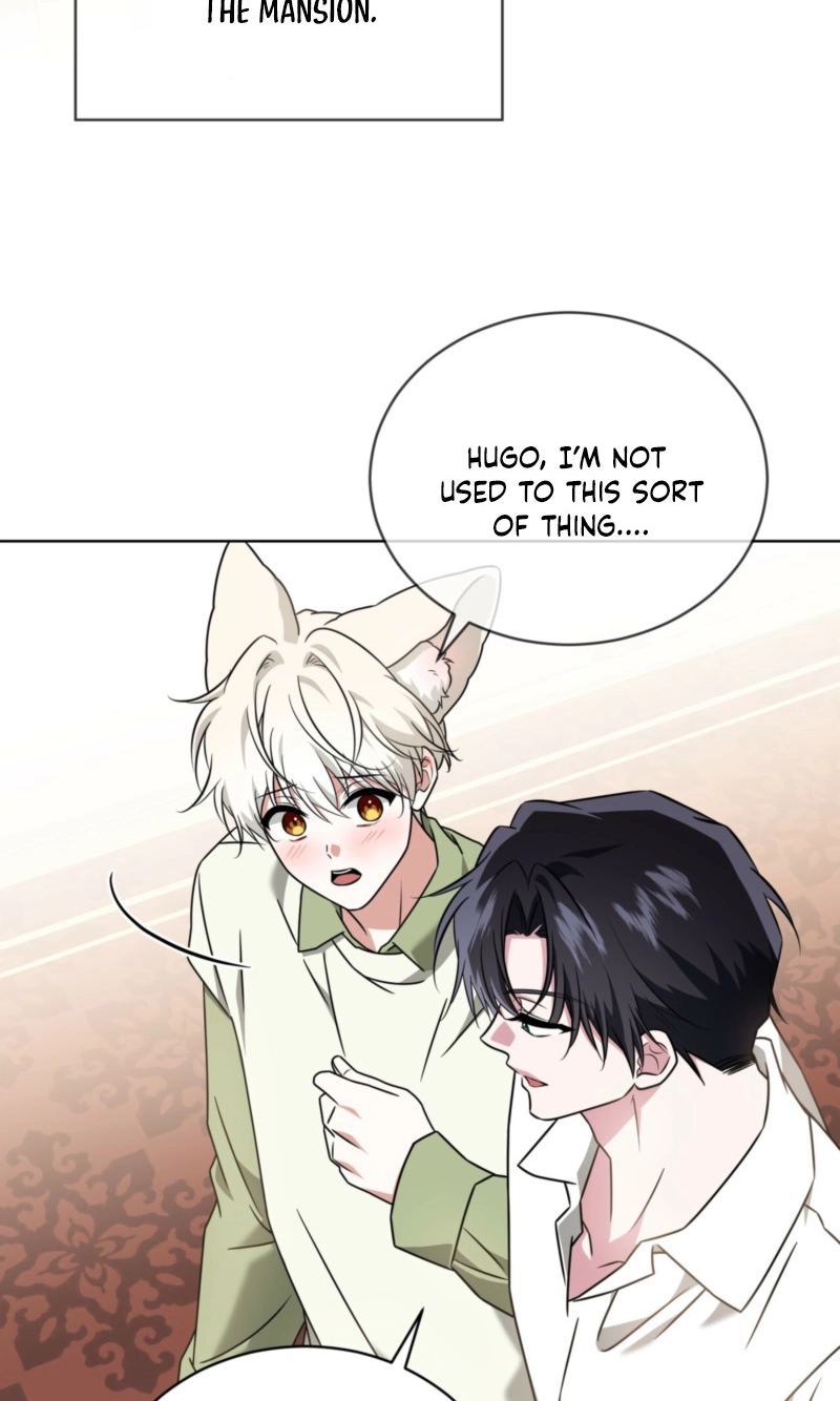 The Fox's Love Refresher Chapter 74 page 23 - 