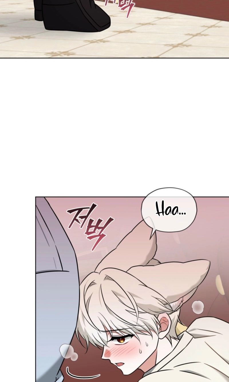 The Fox's Love Refresher Chapter 74 page 63 - 
