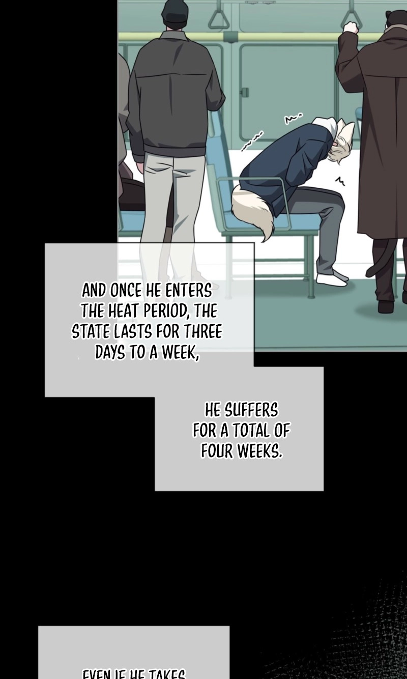 The Fox's Love Refresher Chapter 74 page 68 - 
