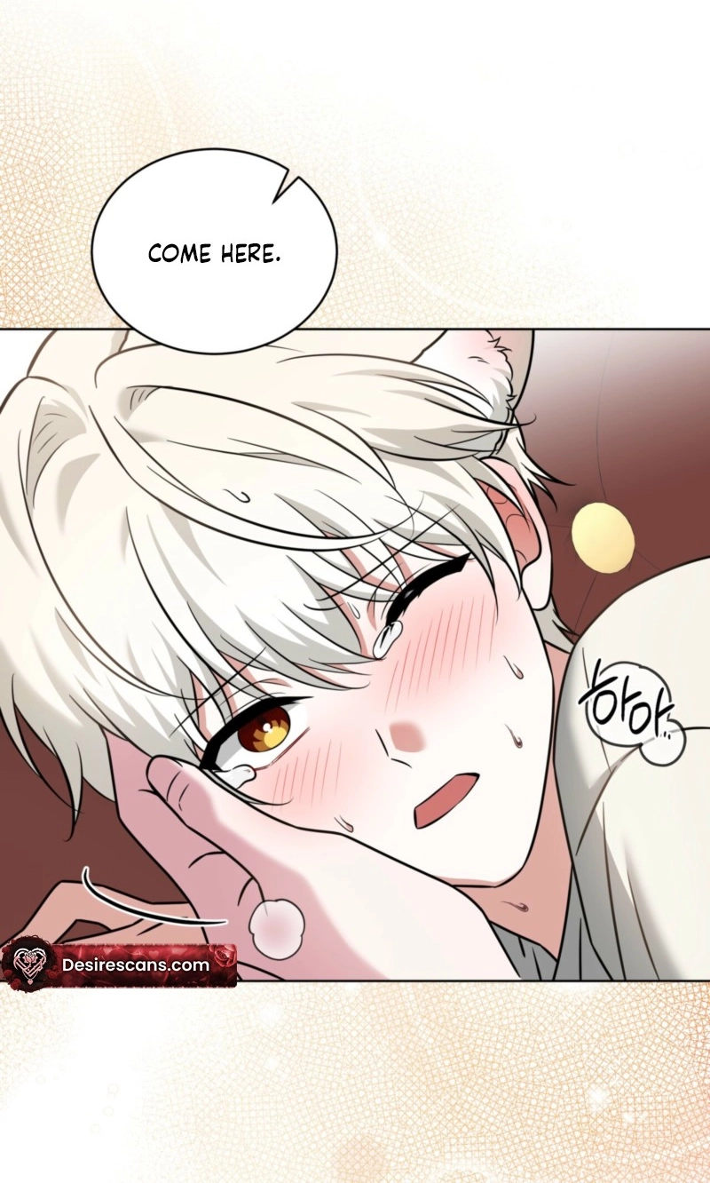 The Fox's Love Refresher Chapter 74 page 72 - 