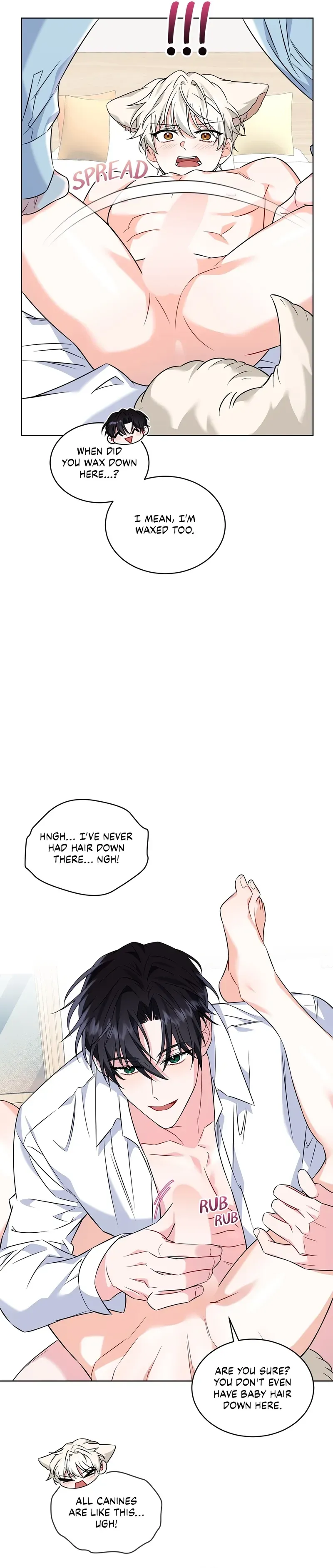 The Fox's Love Refresher Chapter 8 page 7 - 