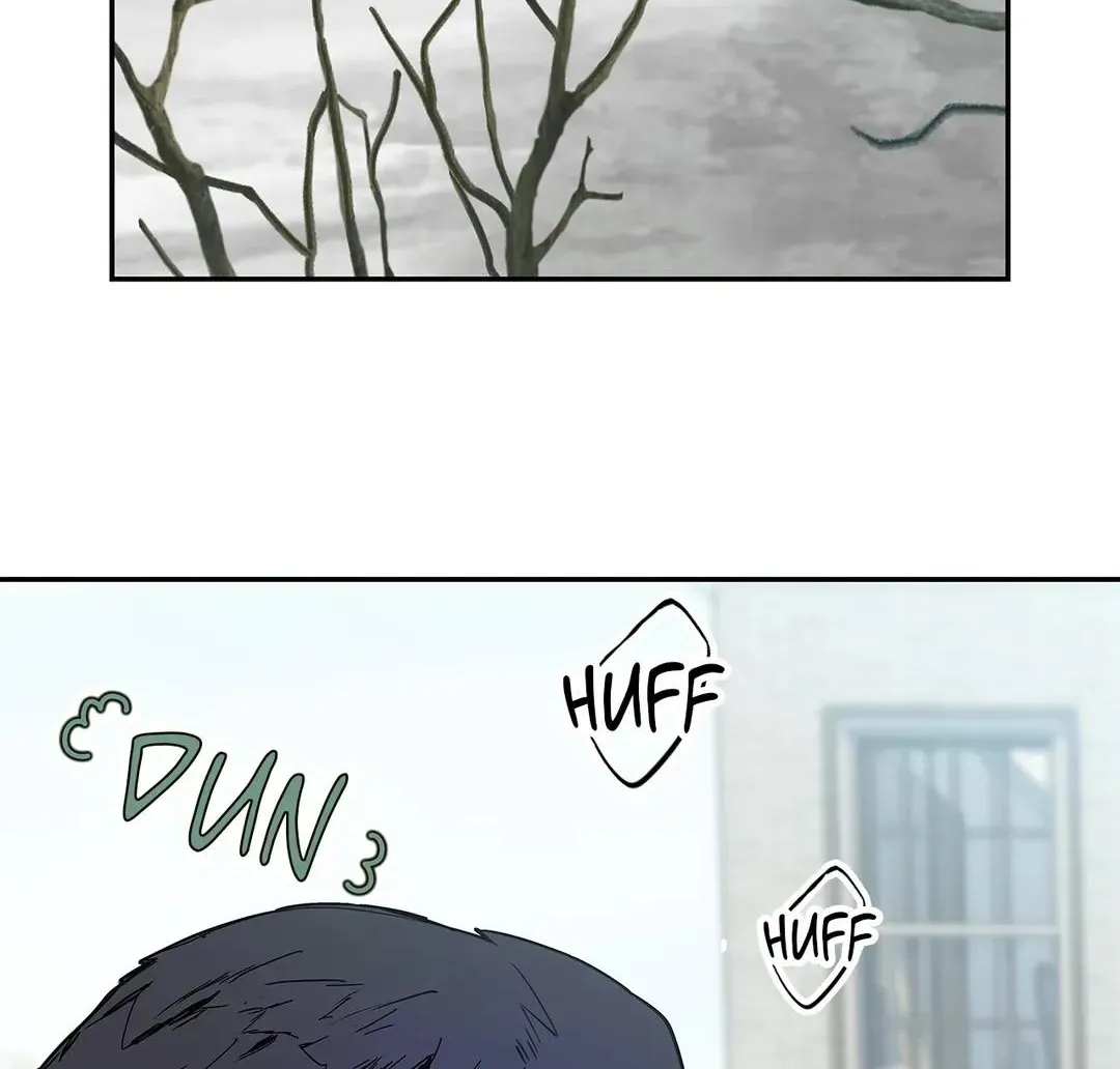 Read The Fox