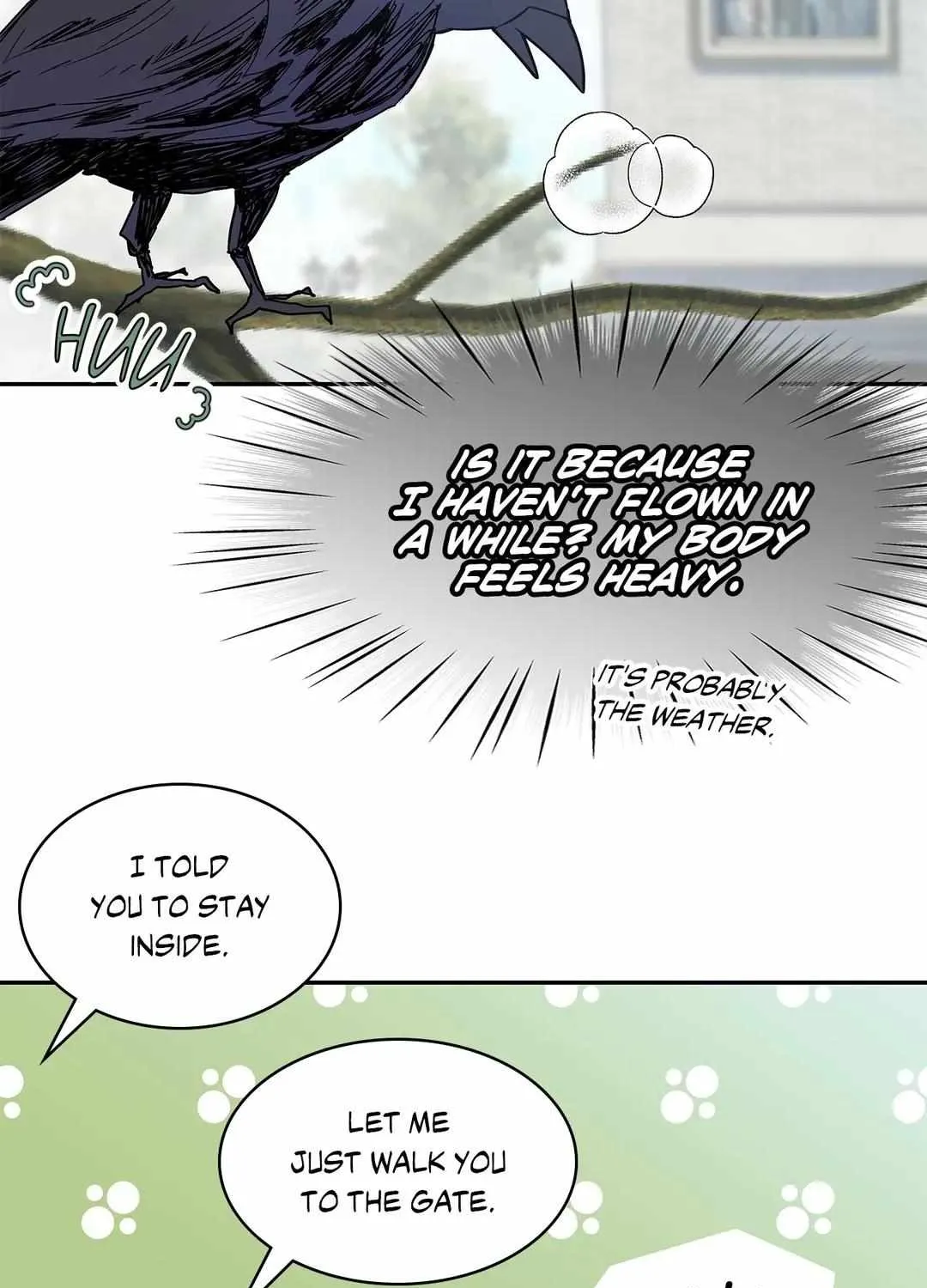 Read The Fox