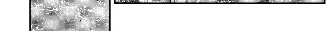 Read The Ghost in the Shell: The Human Algorithm chapter 15 image 31 on Lezhin