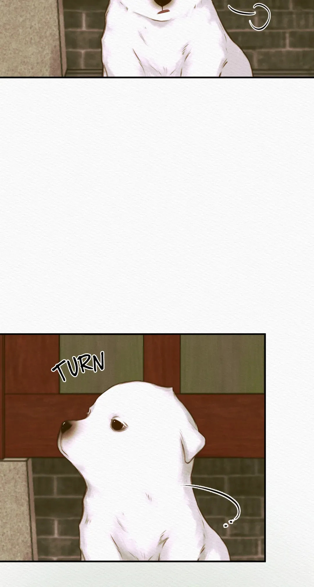 Read The Ghost