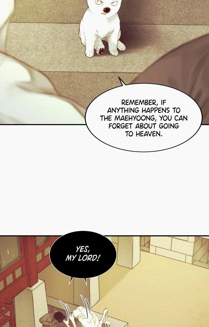 Read The Ghost