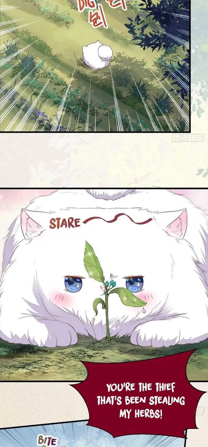Read The Ghostly Doctor chapter 243 image 17 on Lezhin