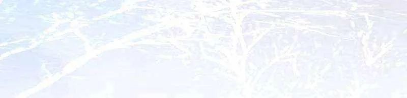 Read The Ghostly Doctor chapter 477 image 43 on Lezhin