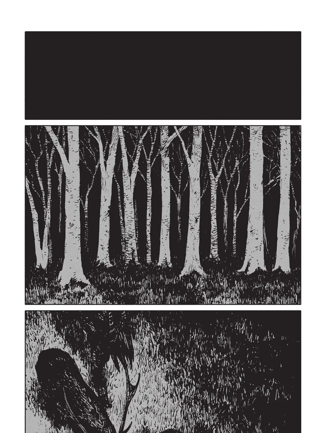 The Girl From the Other Side: Siúil, a Rún Chapter 12 page 43 - 