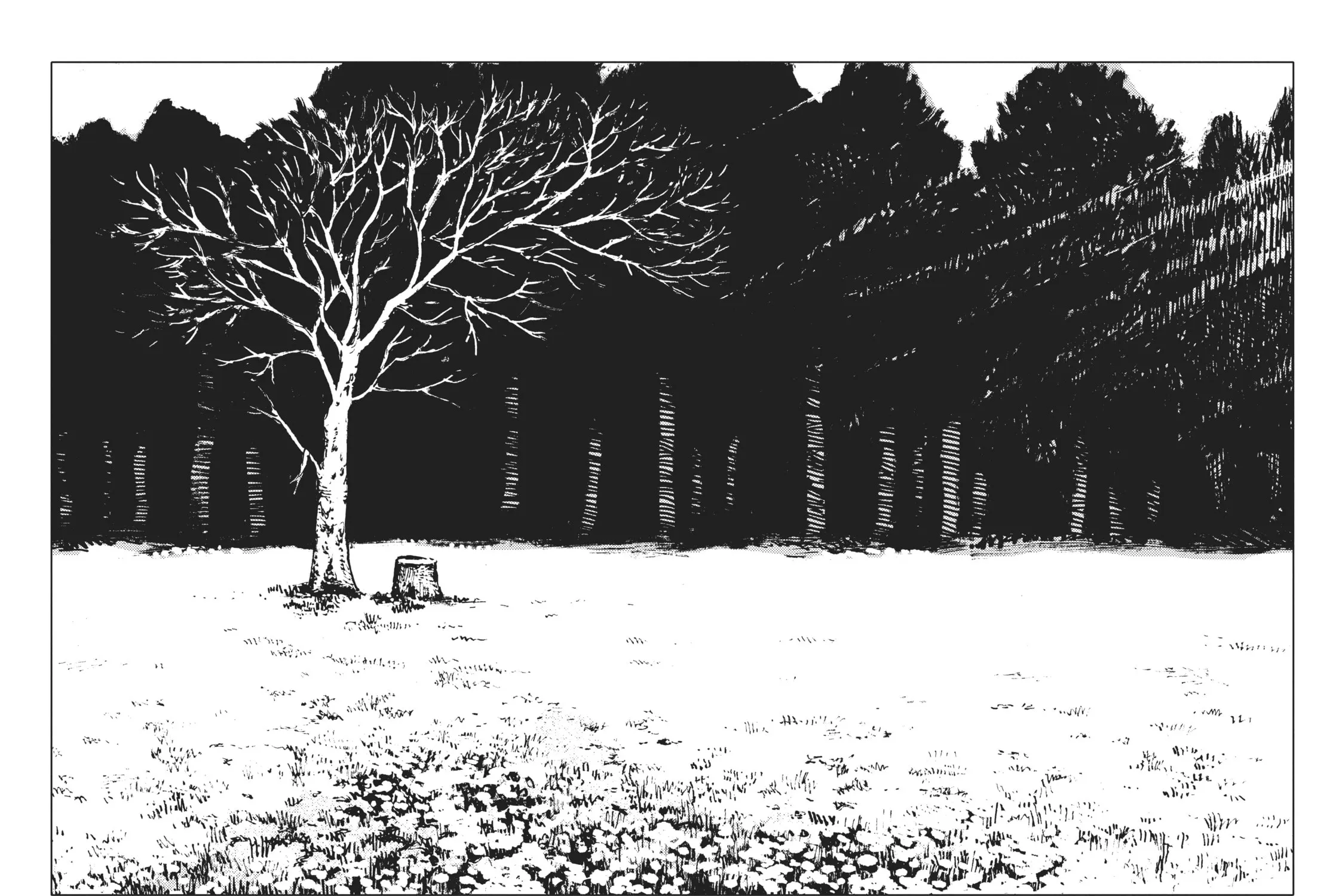 The Girl From the Other Side: Siúil, a Rún Chapter 53 page 73 - 
