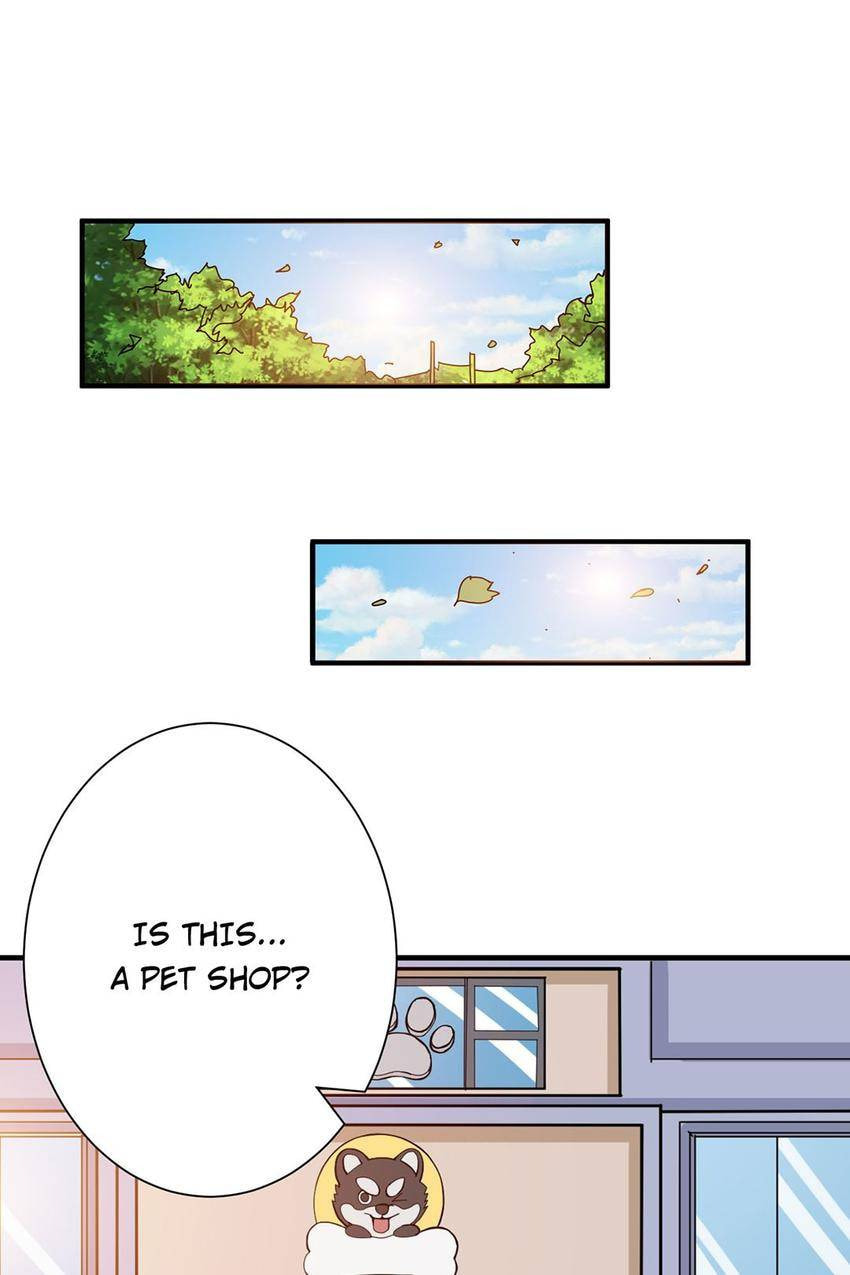 Read The God Devourer (Colored) chapter 155 image 13 on Lezhin