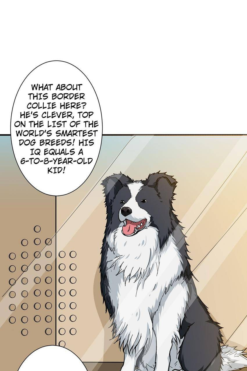 Read The God Devourer (Colored) chapter 66 image 14 on Lezhin