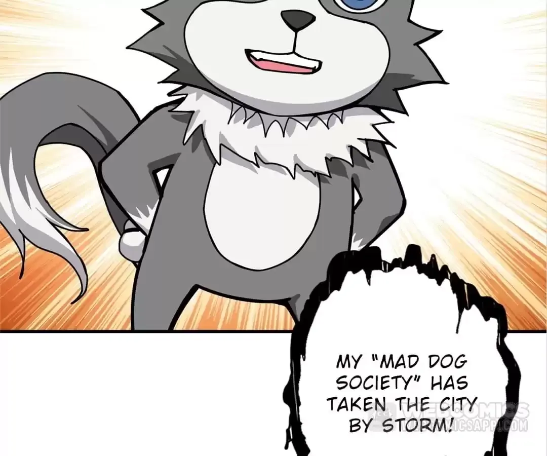Read The God Devourer chapter 231 image 71 on Lezhin