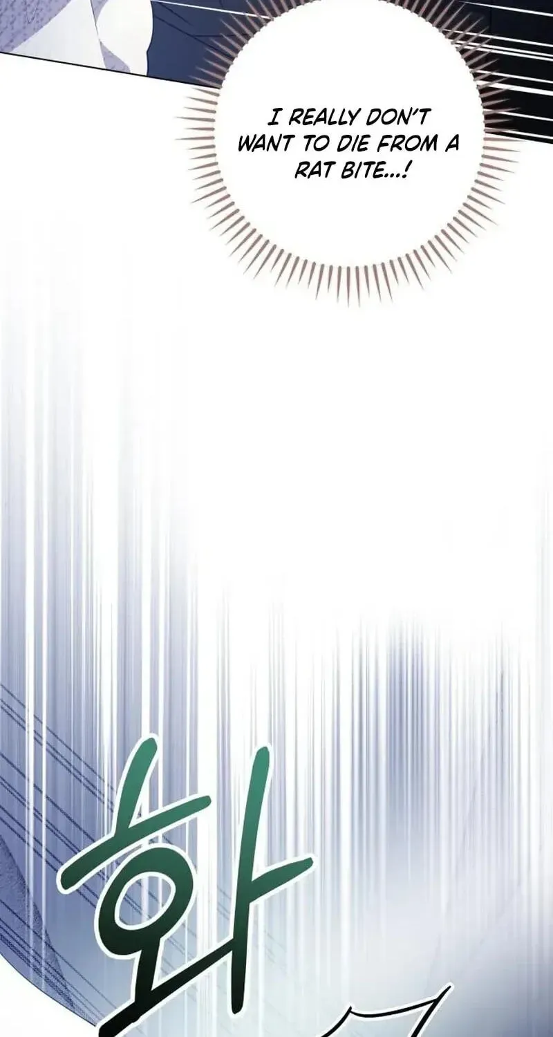The Gold Queen Chapter 64 page 42 - 