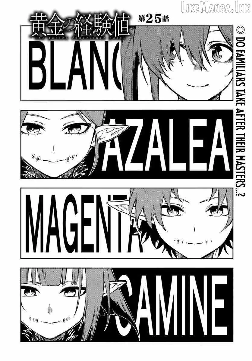 Read The Golden Experience Point chapter 24.99 image 2 on Lezhin