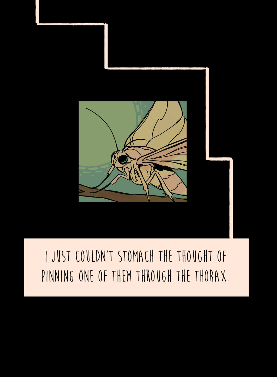 Read The Golden Hour chapter 87 image 19 on Lezhin