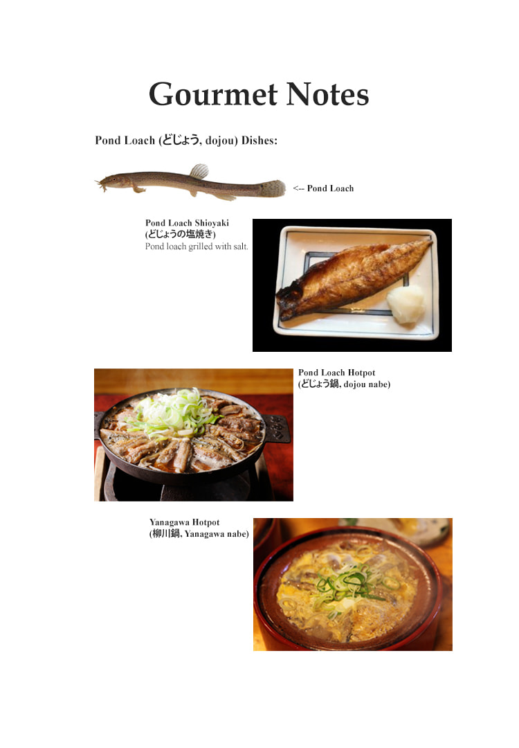 The Gourmet Chapter 124 page 21 - 