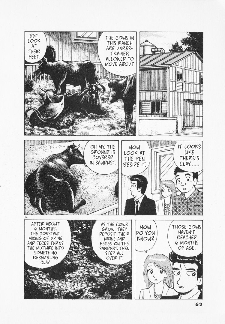 The Gourmet Chapter 161 page 14 - 
