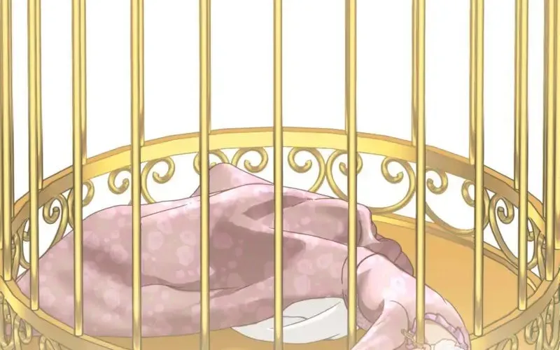 The Grand Duke Is Mine Chapter 16 page 62 - 