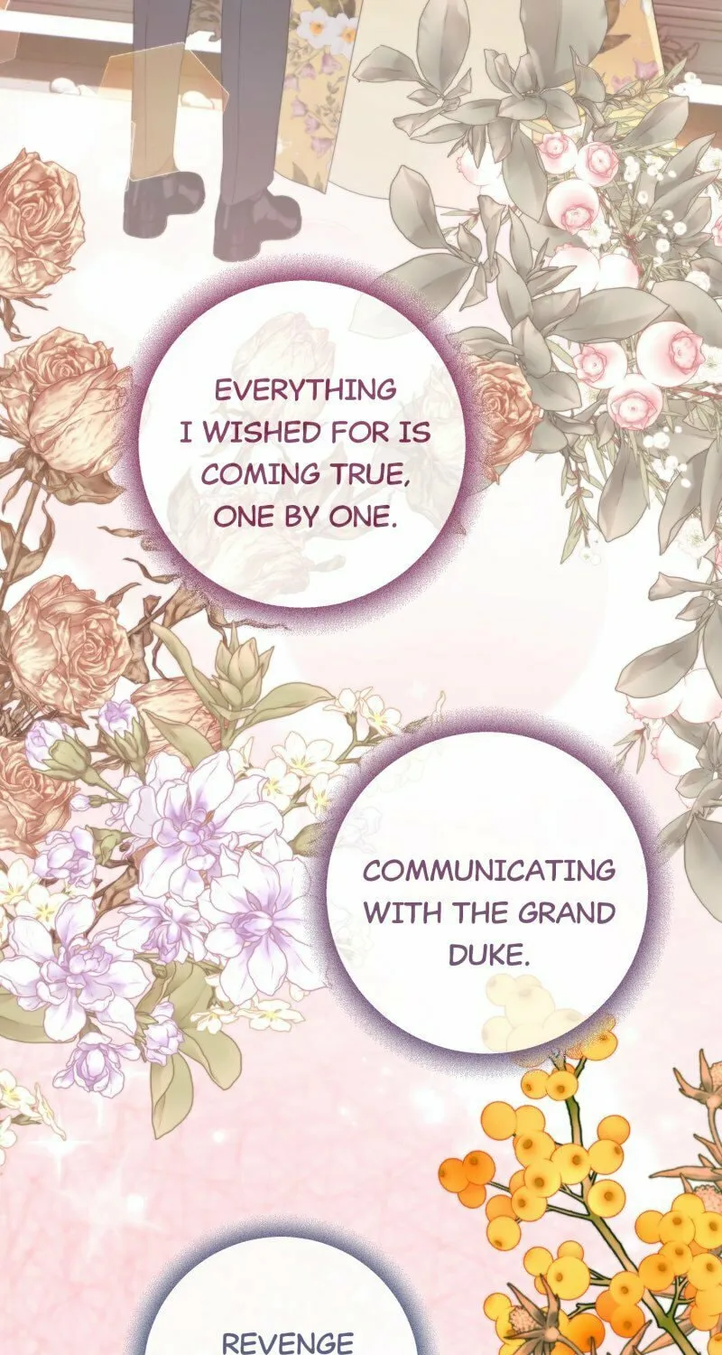The Grand Duke Is Mine Chapter 37 page 47 - 