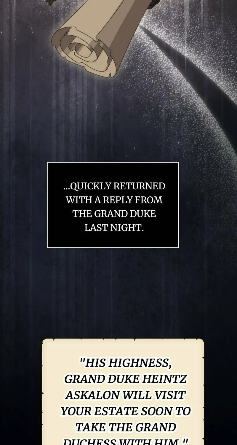 The Grand Duke Is Mine Chapter 54 page 40 - 