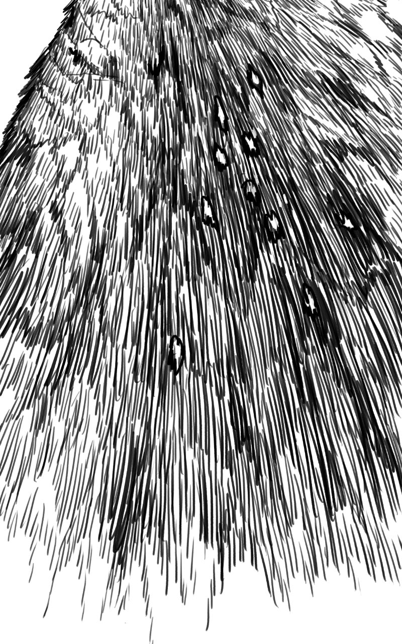 Read The Graymark chapter 48 image 116 on Lezhin
