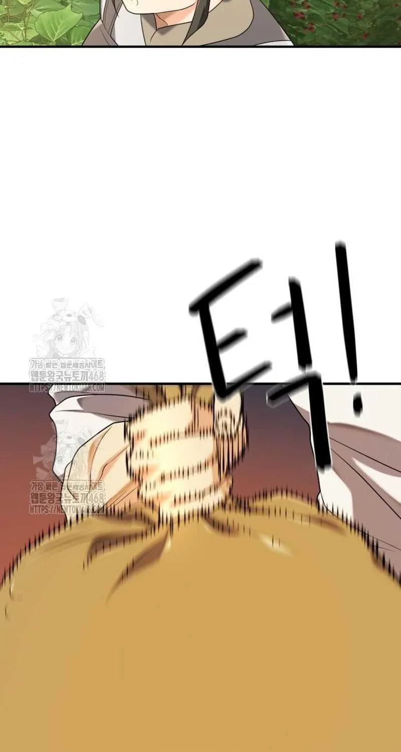 Read The Greatest Estate Developer chapter 212 image 74 on Lezhin