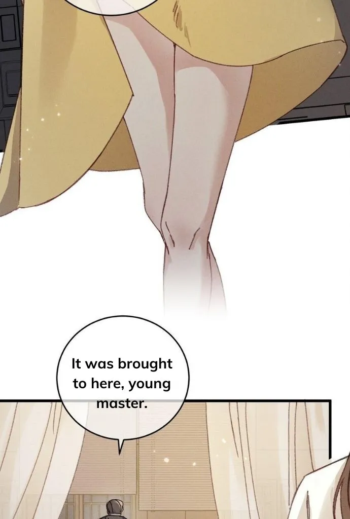 The Greedy Prince Consort Chapter 5 page 12 - 