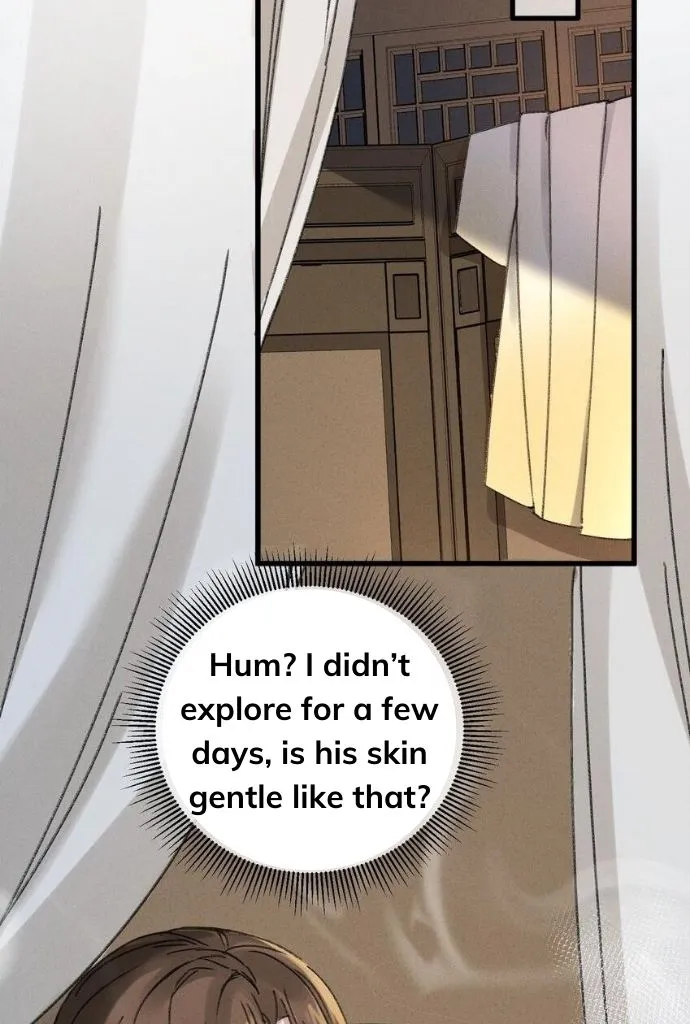 The Greedy Prince Consort Chapter 5 page 5 - 