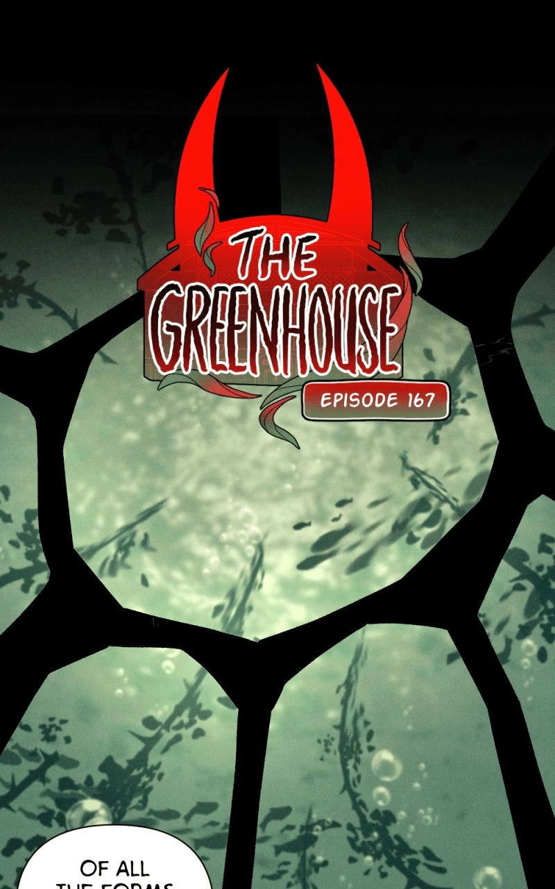 Read The Greenhouse chapter 170 image 0 on Lezhin