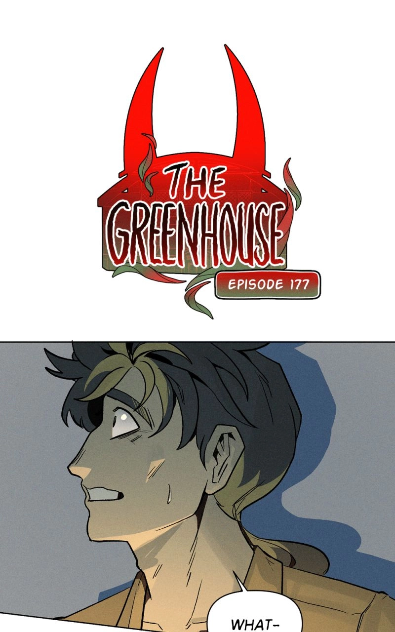 Read The Greenhouse chapter 180 image 0 on Lezhin