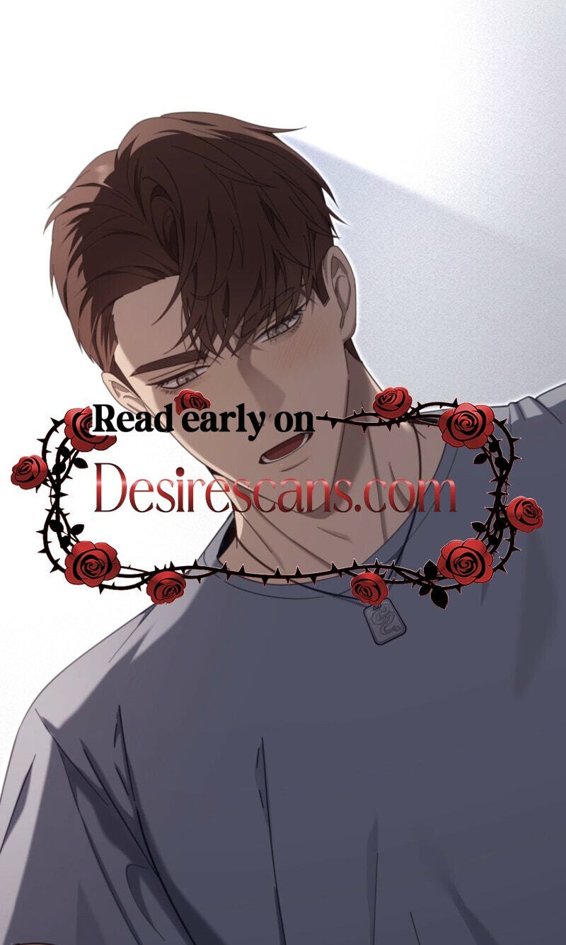 Read The Guide