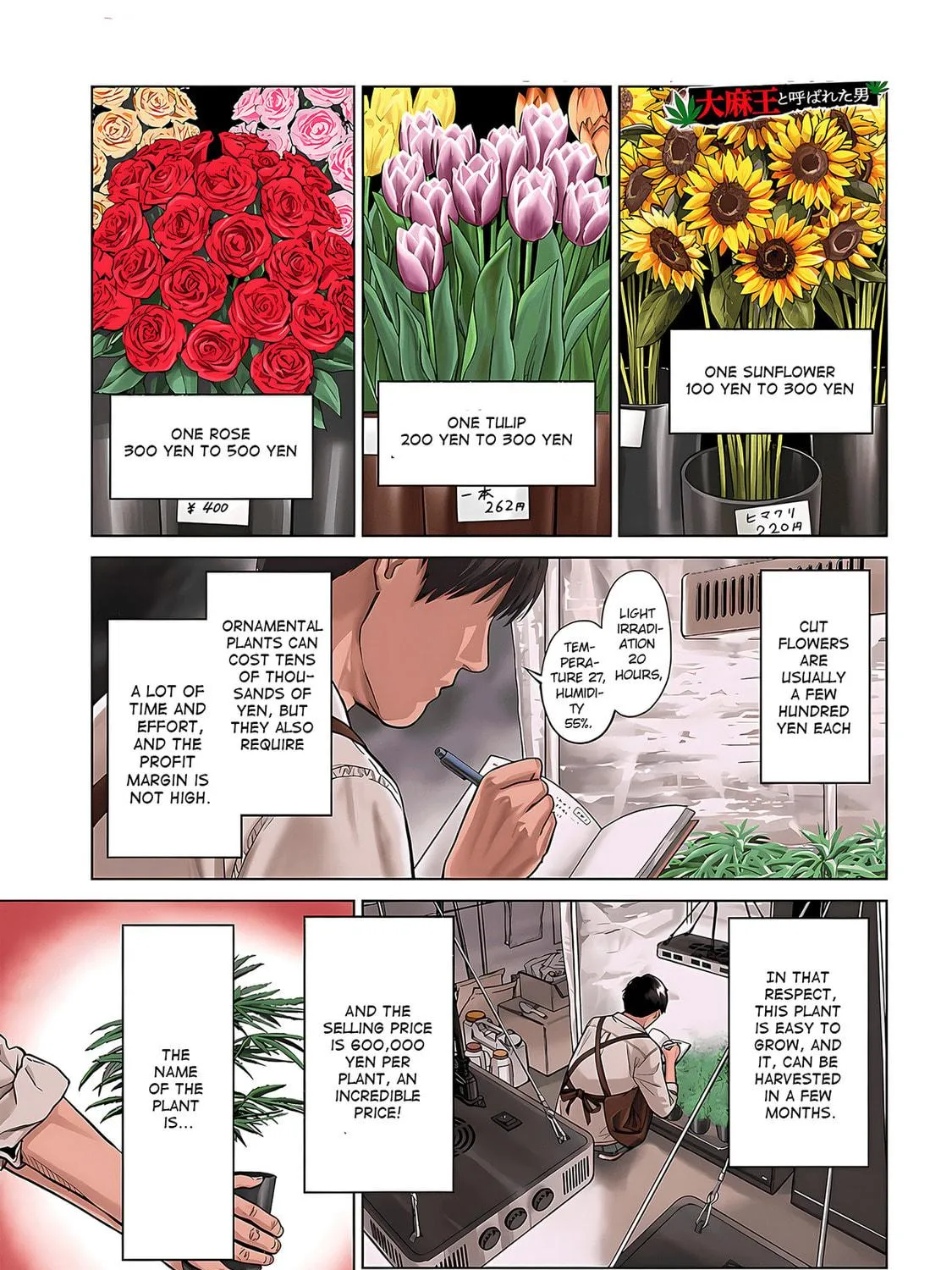Read The Guy Called Cannabis King chapter 1 image 4 on Lezhin