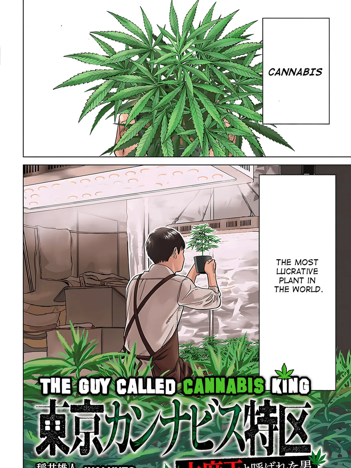 Read The Guy Called Cannabis King chapter 1 image 6 on Lezhin