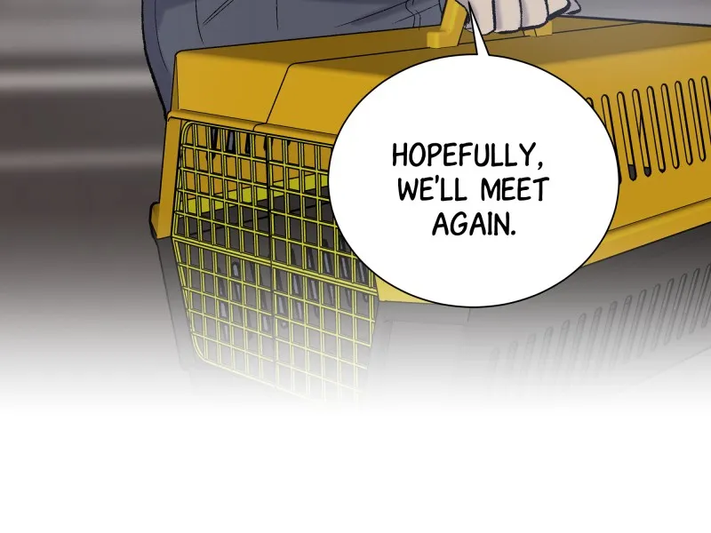 Read The Guy Upstairs chapter 18 image 41 on Lezhin