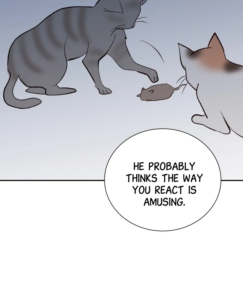 Read The Guy Upstairs chapter 19 image 13 on Lezhin