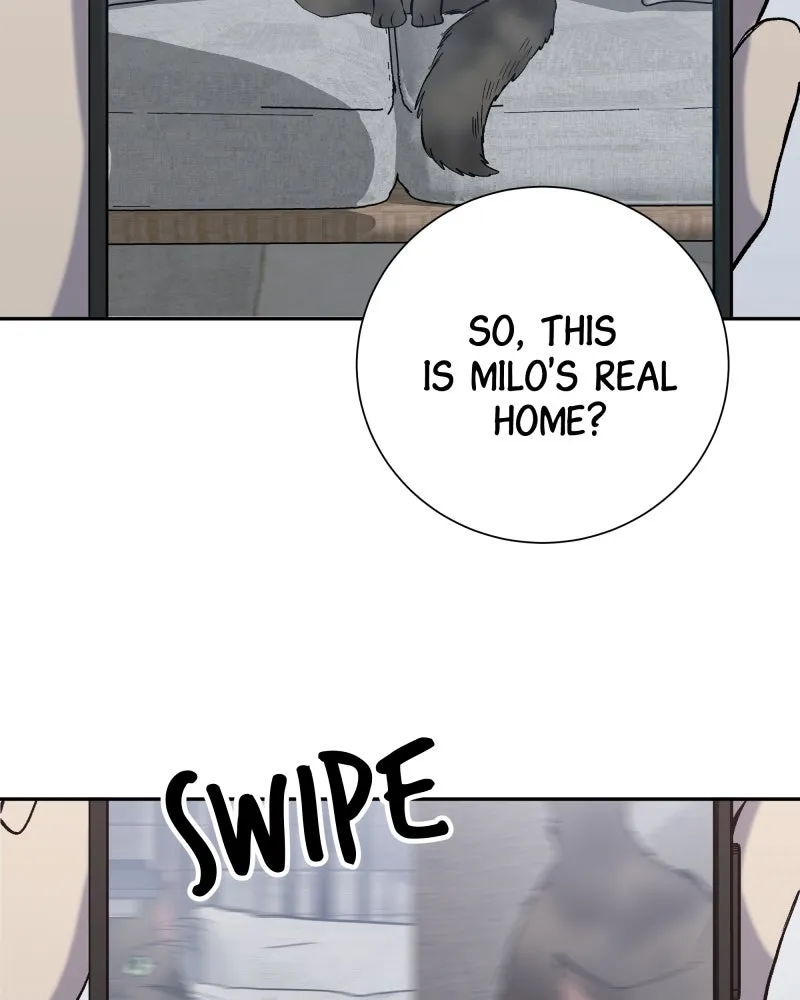 Read The Guy Upstairs chapter 27 image 1 on Lezhin